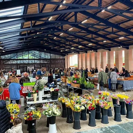 Le Du Cardinal Central/ Wifi/ à Pieds! Appartement Ajaccio (Corsica)