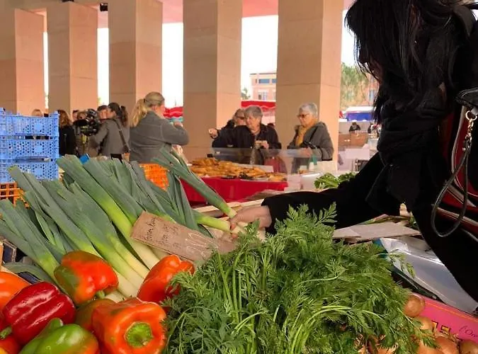 Le Du Cardinal Central/ Wifi/ à Pieds! Appartement Ajaccio (Corsica)