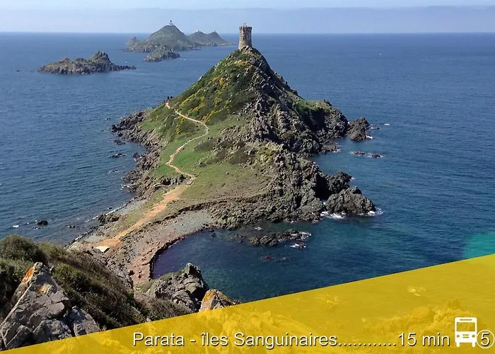 Le Du Cardinal Central/ Wifi/ à Pieds! Appartement Ajaccio (Corsica)
