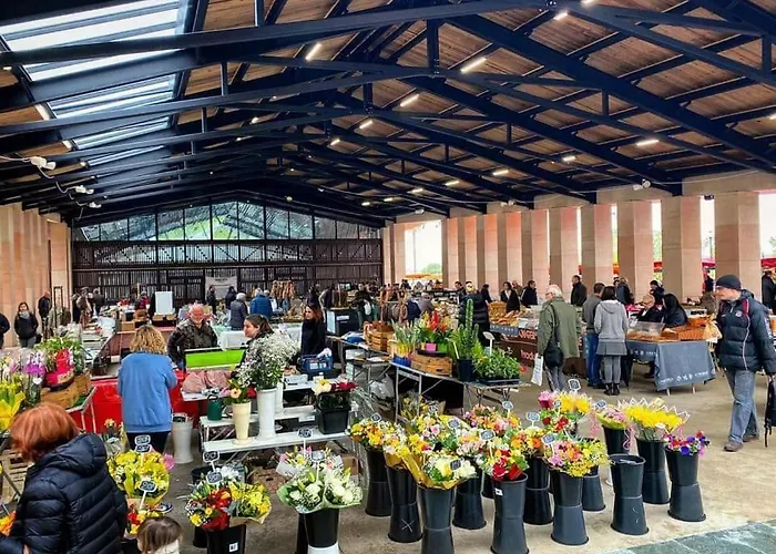 Le Du Cardinal Central/ Wifi/ à Pieds! Appartement Ajaccio (Corsica)