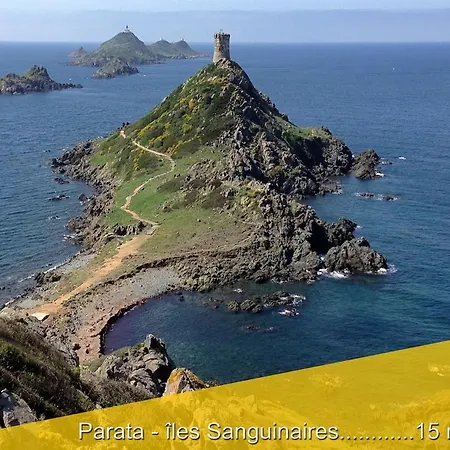 Le Du Cardinal Central/ Wifi/ A Pieds! Apartment Ajaccio (Corsica)