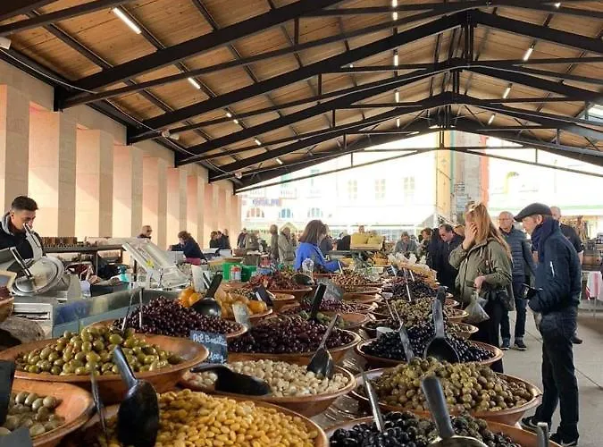 Le Du Cardinal Central/ Wifi/ A Pieds!